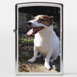 Capo von Oppenheim, Jack Russell Terrier dog Zippo Lighter