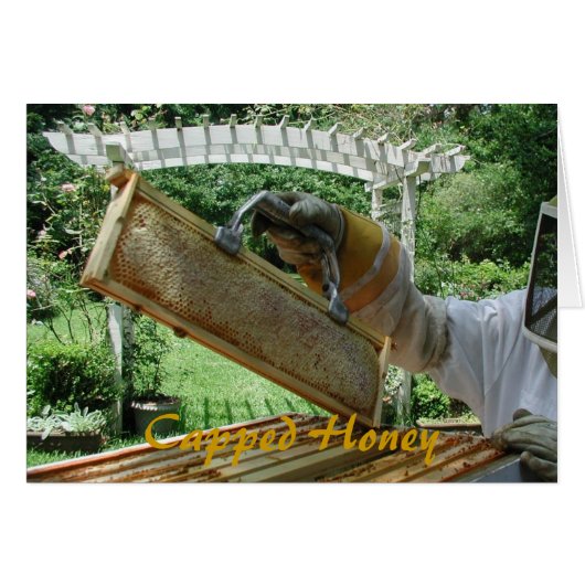 Capped Honey Cards (Front Horizontal)
