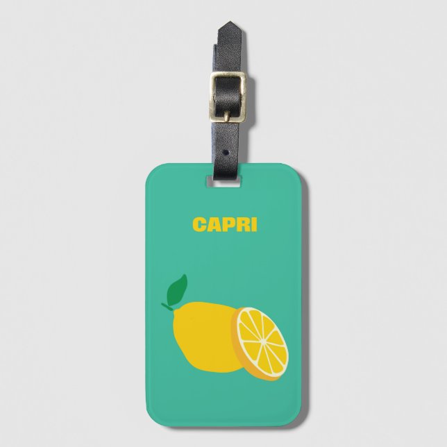 Capri Acrylic Luggage Tag (Front Vertical)