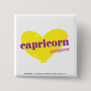 Capricorn 3 pinback button