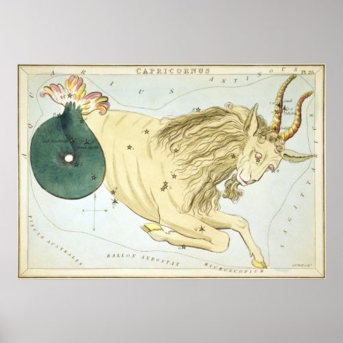 Capricorn Astrological Drawing Poster