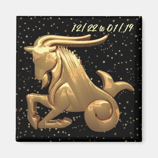 Capricorn Astrology 2 Magnet