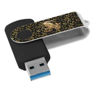 Capricorn Astrology Flash Drive