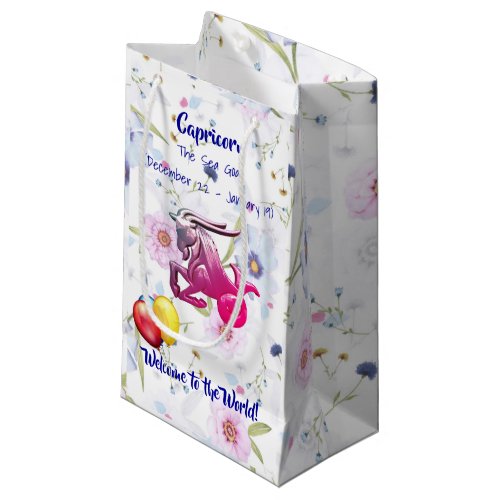 Capricorn Baby Dec 22  Jan 19 Sea Goat Small Gift Bag