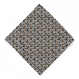 Capricorn Bandana