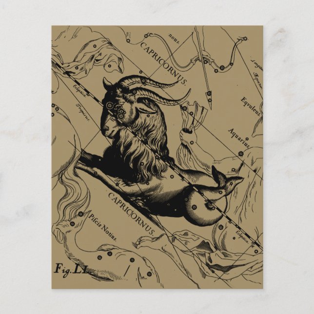 Capricorn Constellation Hevelius 1690 on Taupe Flyer (Front)