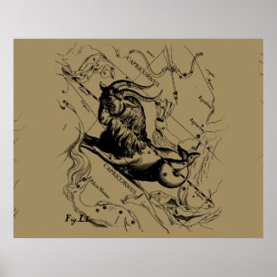 Capricorn Constellation Hevelius 1690 on Taupe Poster