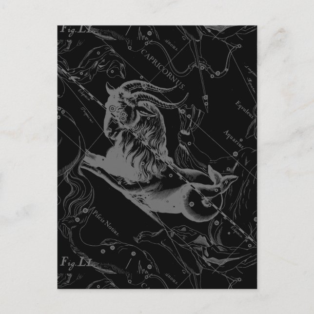 Capricorn Constellation Map Hevelius Engraving Postcard (Front)