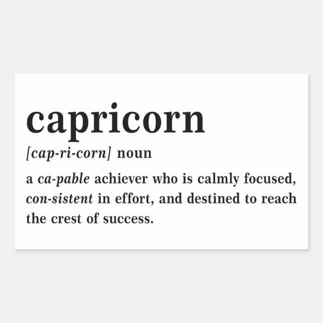 Capricorn Definition Aesthetic Astrology Gift Rectangular Sticker (Front)