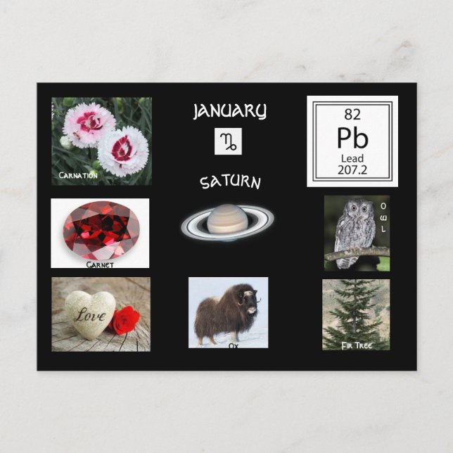 Capricorn January Birth Month postcard (Front)