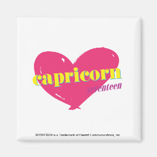 Capricorn Magnet