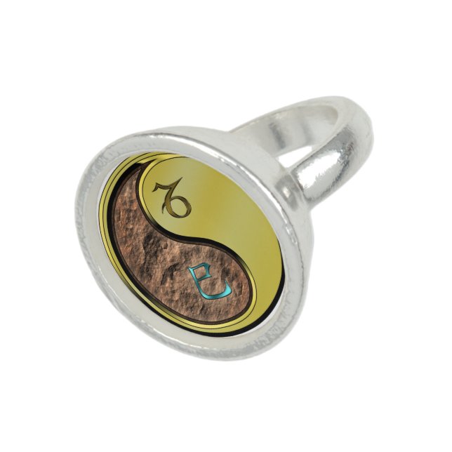 Capricorn & Metal Snake Ring (Top)