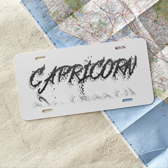 Capricorn Reflection License Plate (In Situ)