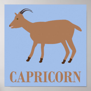 Capricorn Star Sign Goat