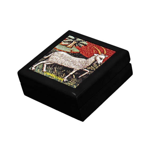 Capricorn the Goat Zodiac Sign Birthday Party Gift Box (Side)
