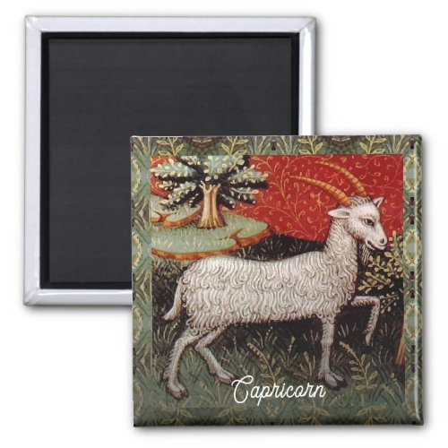 Capricorn the Goat Zodiac Sign Birthday Party Magnet