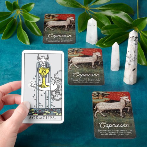 Capricorn the Goat Zodiac Sign Fortune Telling Tarot Cards