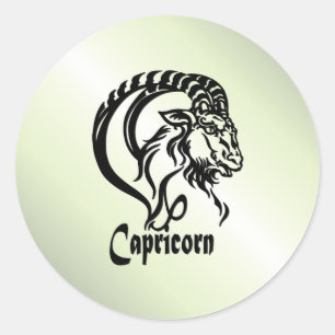 Capricorn the Sea Goat Zodiac Green Classic Round Sticker