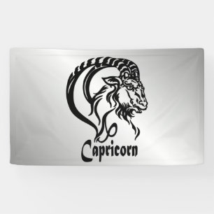 Capricorn the Sea Goat Zodiac Party Hat Banner