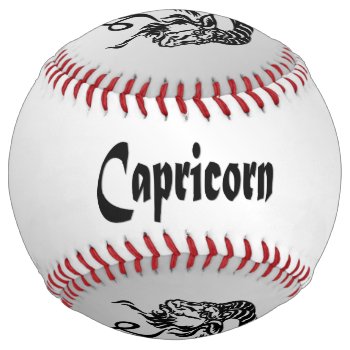 Capricorn the Sea Goat Zodiac Silver