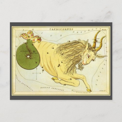 Capricorn Vintage Constellation Uranias Mirror Postcard