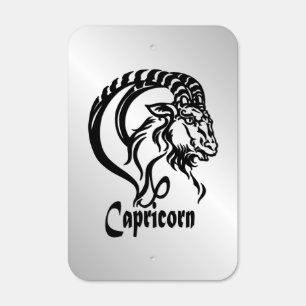 Capricorn Zodiac Sign and Symbol Silver