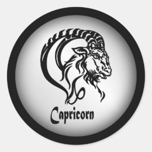 Capricorn Zodiac Sign and Symbol Silver Classic Round Sticker