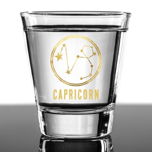 Capricorn Zodiac Sign Astrology Horoscope Gold Shot Glass