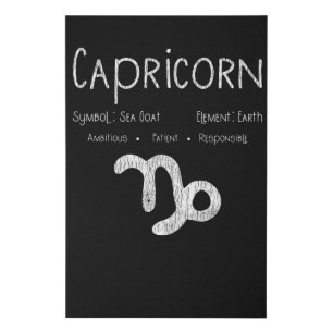 Capricorn Zodiac Sign Gift for Astrology Lover