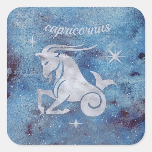 Capricorn Zodiac Sign Stickers