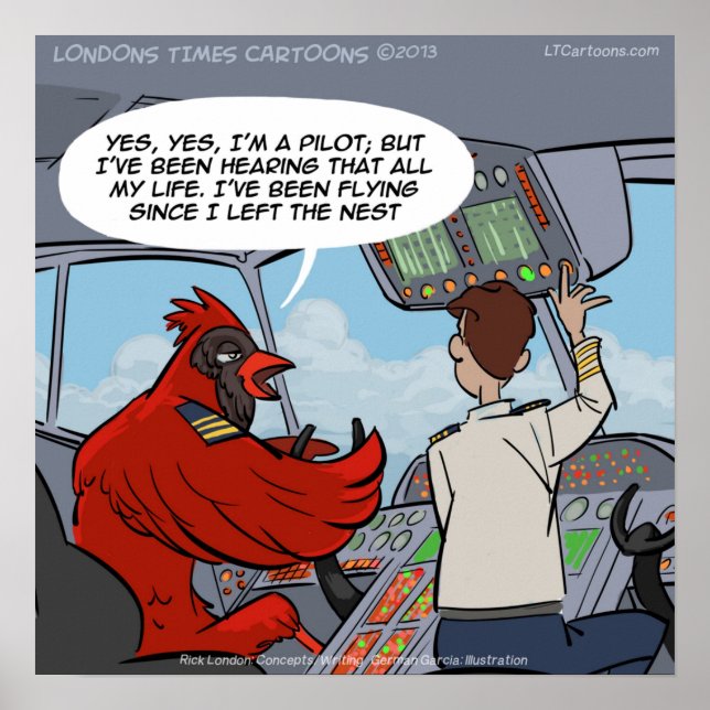 Captain Byrd Cardinal Pilot Flies Jet Funny Poster (Front)