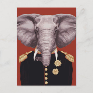 Captain Elephant Postcard