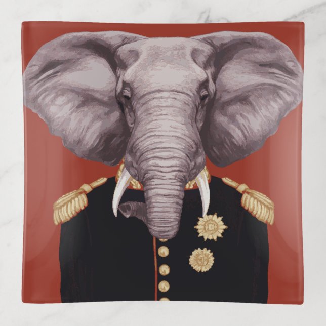 Captain Elephant Trinket Tray (Front)