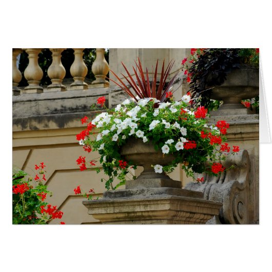 Captain's Square Flowers Cards (Front Horizontal)
