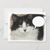 Captioned Cat (Front)