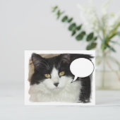 Captioned Cat (Standing Front)