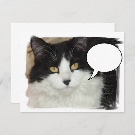 Captioned Cat (Front/Back)