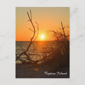 Captiva Sunset Postcard by PhotosfromFlorida at Zazzle