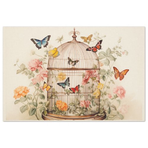 Captivating Beauty Birdcage Decoupage Tissue Paper