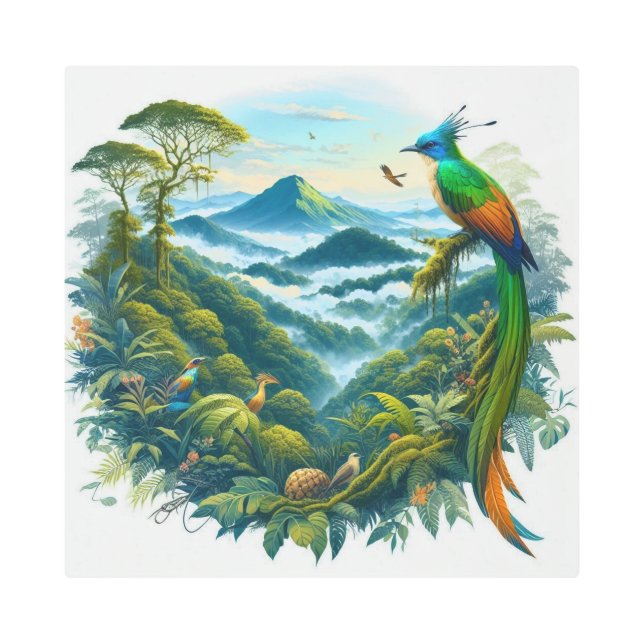 Captivating Cloud Forest Designs Metal Print (Front)