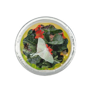 Captivating Luna Moth     Ring