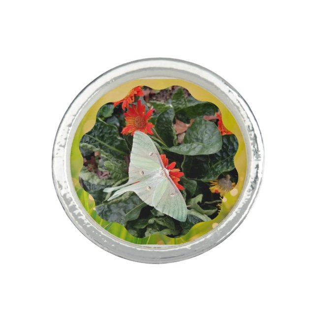 Captivating Luna Moth     Ring (Front)