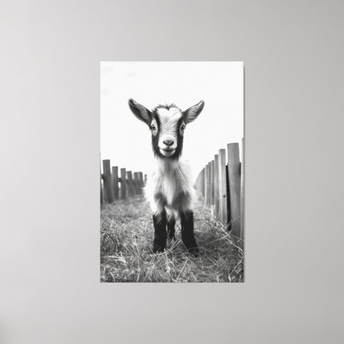 Captivating Monochromatic Peaceful Baby Goat Portr Canvas Print