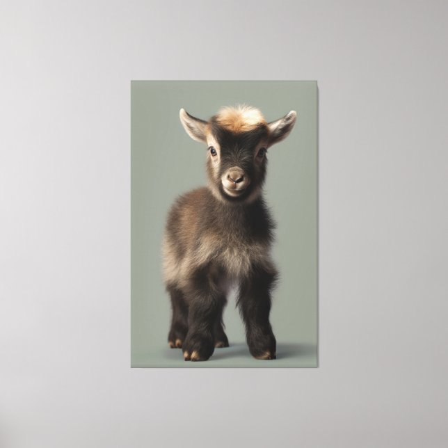 Captivating Portrait of a Baby Goat Canvas Print (Front)
