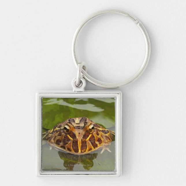Captive, Nebraska, USA Keychain (Front)