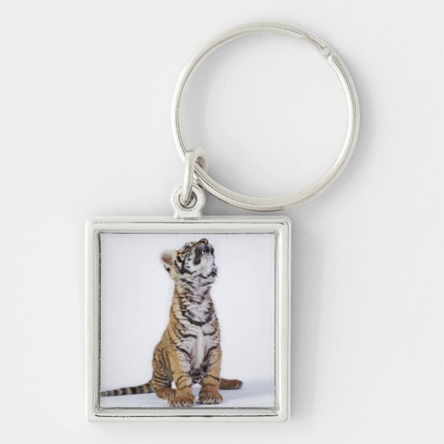 Captive, South Africa 2 Keychain (Front)