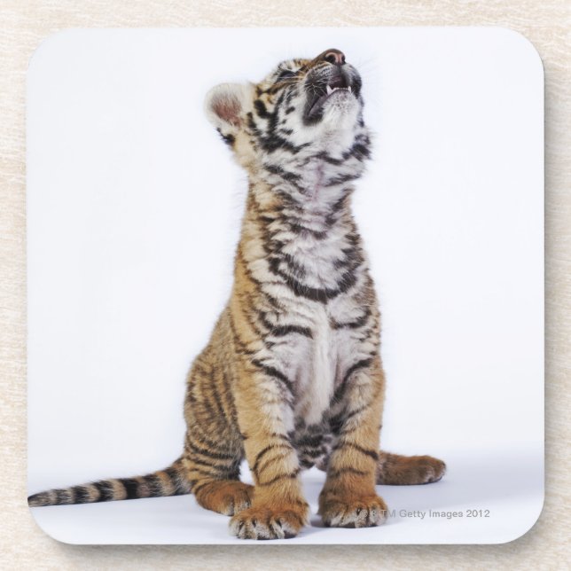 Captive, South Africa Coaster (Front)