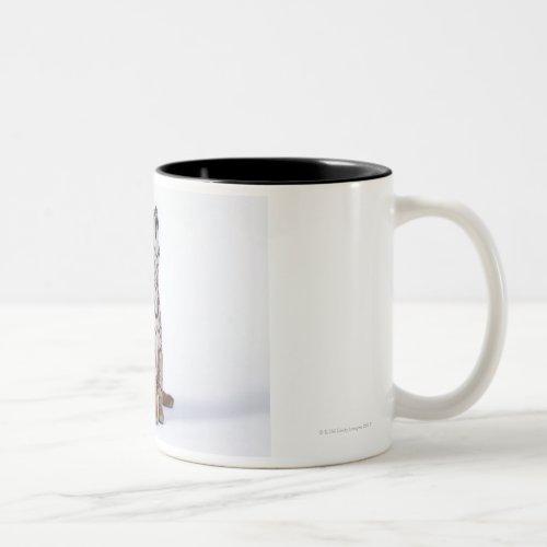 Captive South Africa Two_Tone Coffee Mug