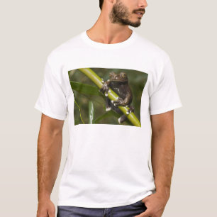 Captive Tapichalaca Tree Frog Hyloscirtus 2 T-Shirt