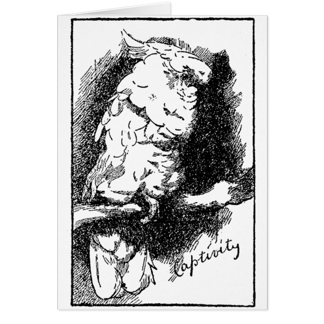 Captivity Cards (Front)